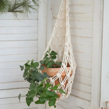 Macrame Hanging Plant Holder