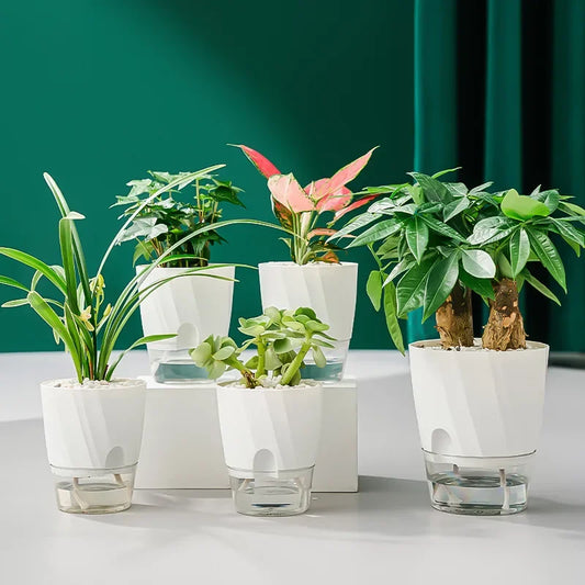 AquaBloom Self-Watering Planter